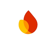 Firebase database  that we use in mobile app development